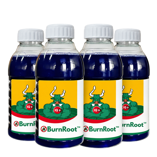 BurnRoot™